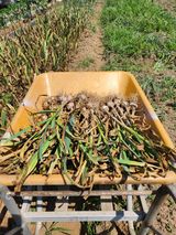 팜모닝 자유주제·자유게시판 게시글 이미지