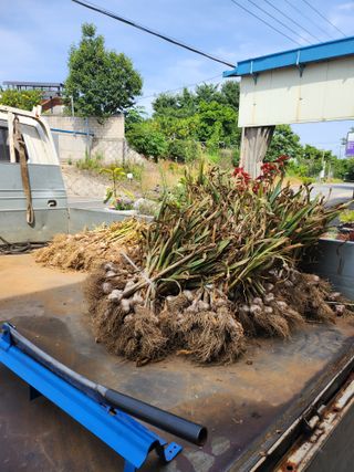 콩8087님의 자유주제 · 자유게시판 작성글 사진