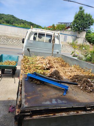 콩8087님의 자유주제 · 자유게시판 작성글 사진