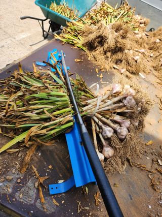 콩8087님의 자유주제 · 자유게시판 작성글 사진