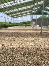 팜모닝 농사, 무엇이든 물어보세요!·참여글 게시글 이미지