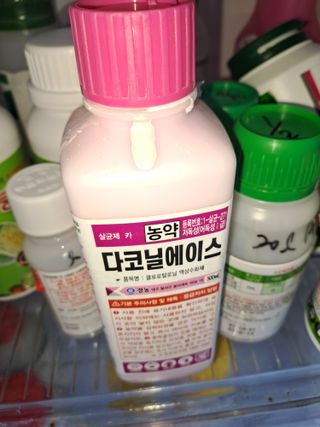 이보천님의 고추 · 영농일지 작성글 사진