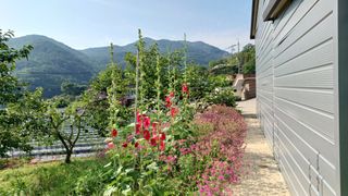 이순기님의 👩🏻‍🌾7월 농작업 계획 · 참여글 작성글 사진