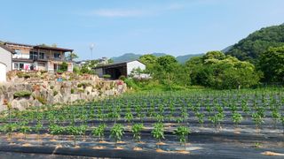 이순기님의 👩🏻‍🌾7월 농작업 계획 · 참여글 작성글 사진