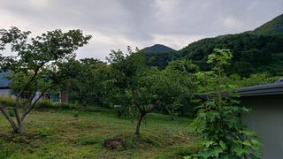 이순기님의 👩🏻‍🌾7월 농작업 계획 · 참여글 작성글 사진