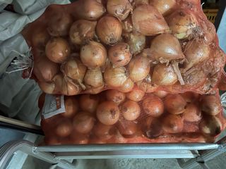 최성진님의 양파 · 영농일지 작성글 사진