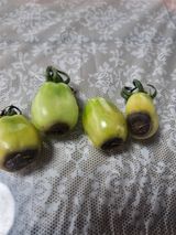 팜모닝 토마토·병해충상담 게시글 이미지