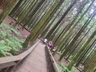 이원우님의 자유주제 · 자유게시판 작성글 사진