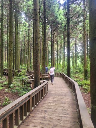 이원우님의 자유주제 · 자유게시판 작성글 사진