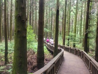 이원우님의 자유주제 · 자유게시판 작성글 사진