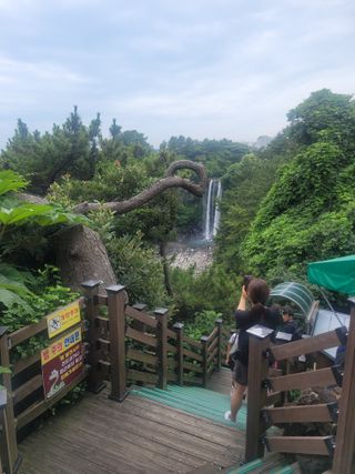 이원우님의 자유주제 · 자유게시판 작성글 사진
