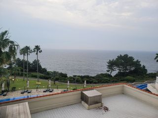 이원우님의 자유주제 · 자유게시판 작성글 사진