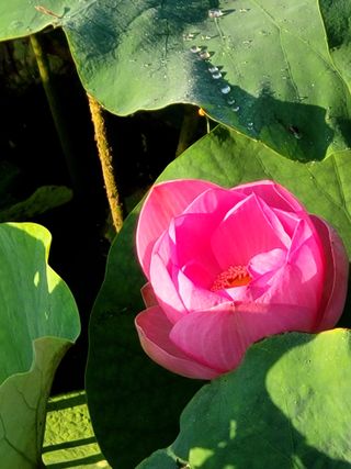 낙엽교목류16818님의 자유주제 · 자유게시판 작성글 사진