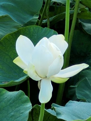 낙엽교목류16818님의 자유주제 · 자유게시판 작성글 사진