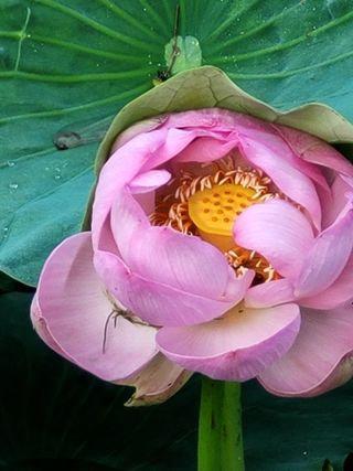 낙엽교목류16818님의 자유주제 · 자유게시판 작성글 사진