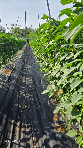 홍성부님의 자유주제 · 자유게시판 작성글 사진