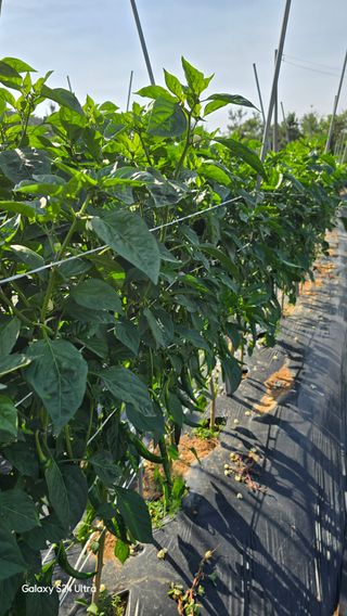 홍성부님의 자유주제 · 자유게시판 작성글 사진