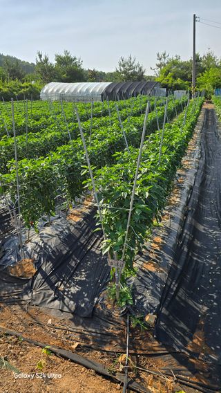 홍성부님의 자유주제 · 자유게시판 작성글 사진