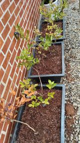 팜모닝 자유주제·자유게시판 게시글 이미지