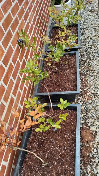 강현숙님의 자유주제 · 자유게시판 작성글 사진