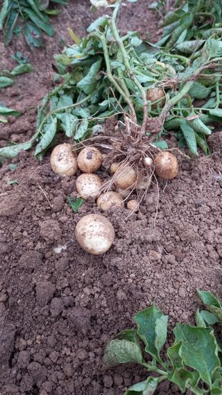 강현숙님의 자유주제 · 자유게시판 작성글 사진