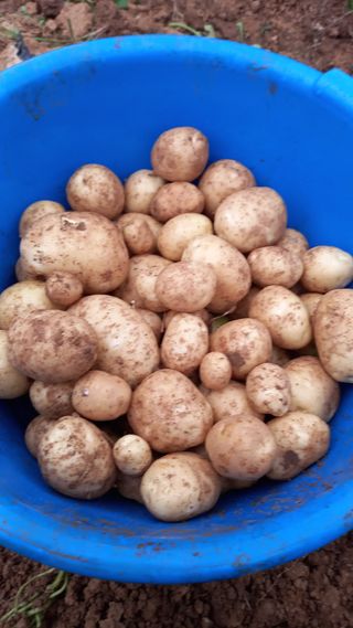 강현숙님의 자유주제 · 자유게시판 작성글 사진