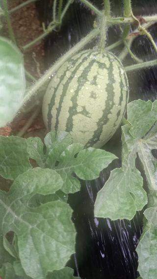 강현숙님의 자유주제 · 자유게시판 작성글 사진