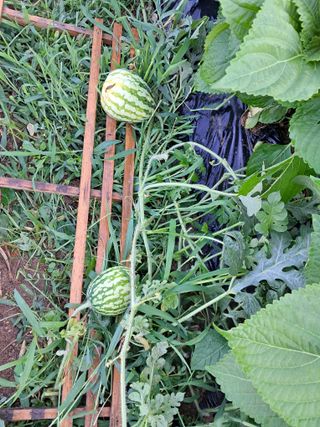 전희분님의 자유주제 · 사진전 작성글 사진