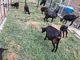 전희분님의 자유주제 · 자유게시판 작성글 사진