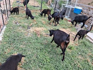 전희분님의 자유주제 · 자유게시판 작성글 사진