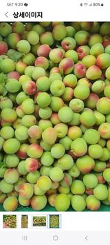 팜모닝 · 게시글 이미지