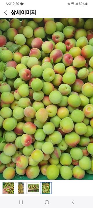 김금순자연산약초님의 작성글 사진