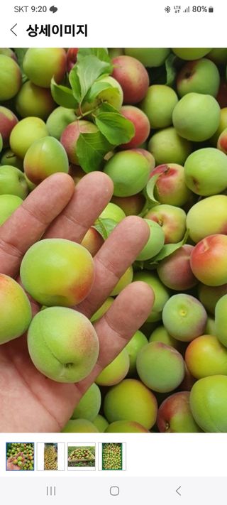 김금순자연산약초님의 작성글 사진