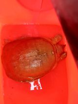 팜모닝 자유주제·자유게시판 게시글 이미지