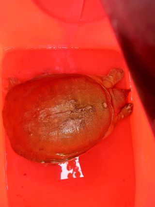 알 수 없음님의 자유주제 · 자유게시판 작성글 사진