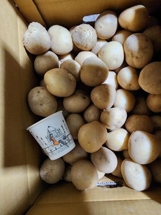 서확수님의 작성글 사진