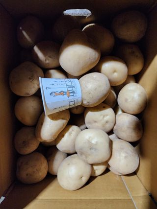 서확수님의 작성글 사진