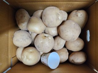 서확수님의 작성글 사진