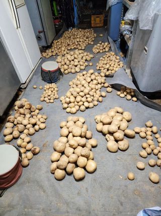 서확수님의 작성글 사진