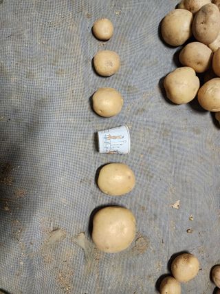 서확수님의 작성글 사진