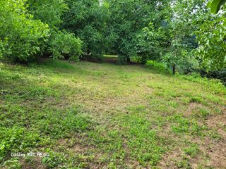 hkte님의 기타작물 · 영농일지 작성글 사진