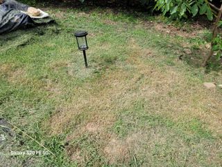 hkte님의 기타작물 · 영농일지 작성글 사진