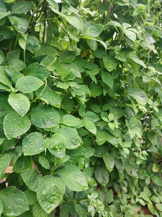 더덕님의 자유주제 · 자유게시판 작성글 사진