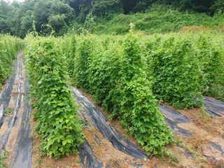 더덕님의 자유주제 · 자유게시판 작성글 사진