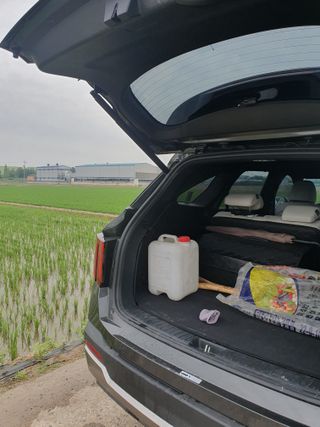 김광신님의 기타작물 · 영농일지 작성글 사진