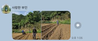 김형선님의 들깨 · 영농일지 작성글 사진