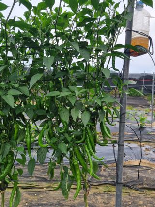 태풍한가름님의 자유주제 · 자유게시판 작성글 사진