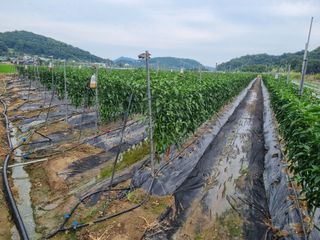 태풍한가름님의 자유주제 · 자유게시판 작성글 사진