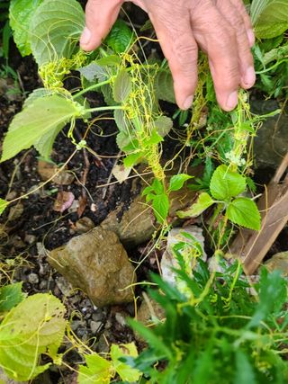 여유로움님의 자유주제 · 자유게시판 작성글 사진
