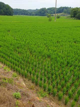 장병노님의 자유주제 · 자유게시판 작성글 사진